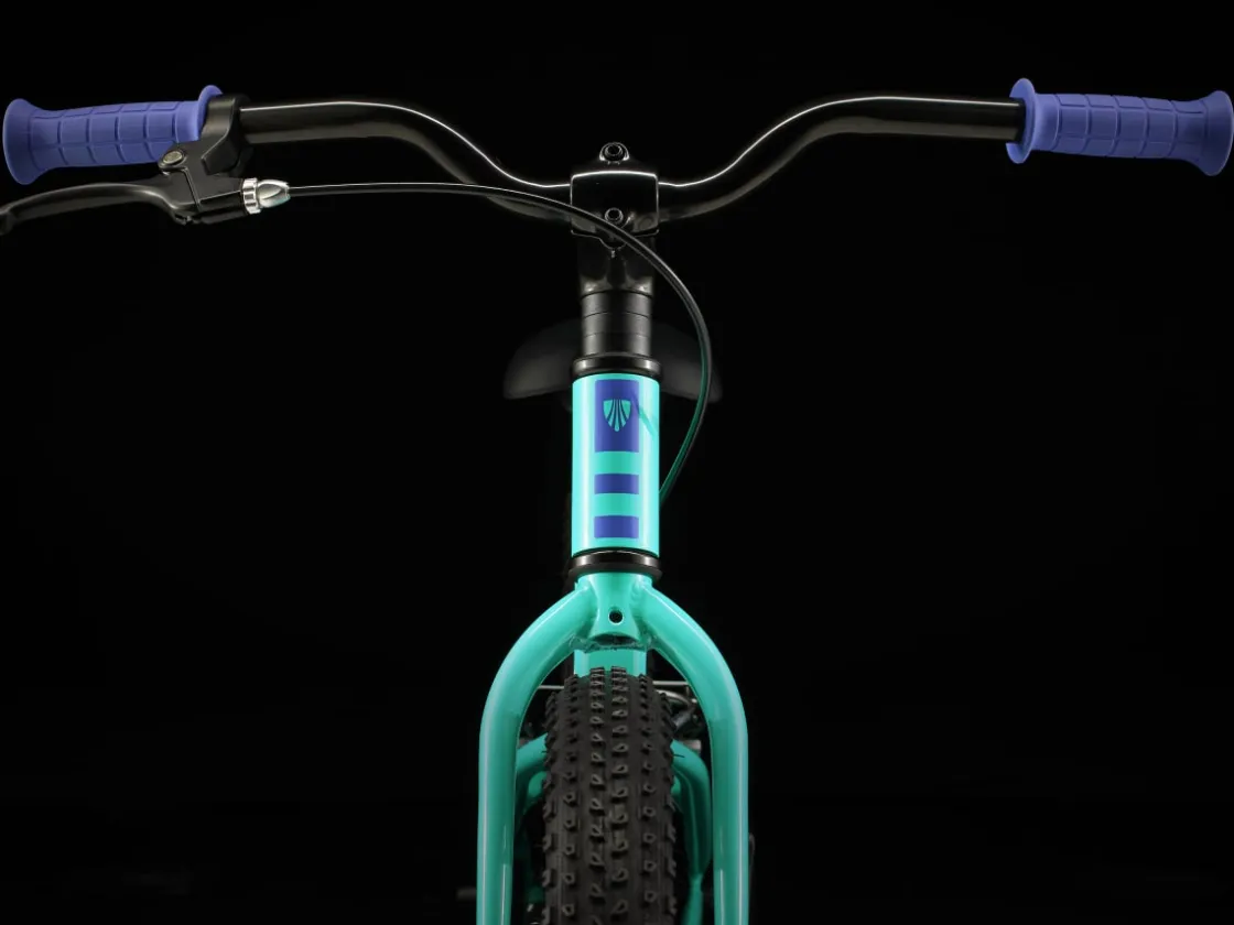 Trek Bikes Precaliber 20 Best