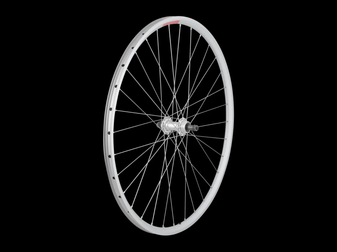 Trek Bikes Sta-Tru 700c Tubeless Ready Alloy QR Wheel - DT Swiss Spokes Silver Best