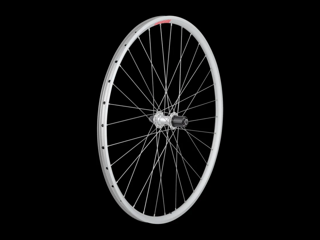 Trek Bikes Sta-Tru 700c Tubeless Ready Alloy QR Wheel - DT Swiss Spokes Silver Best