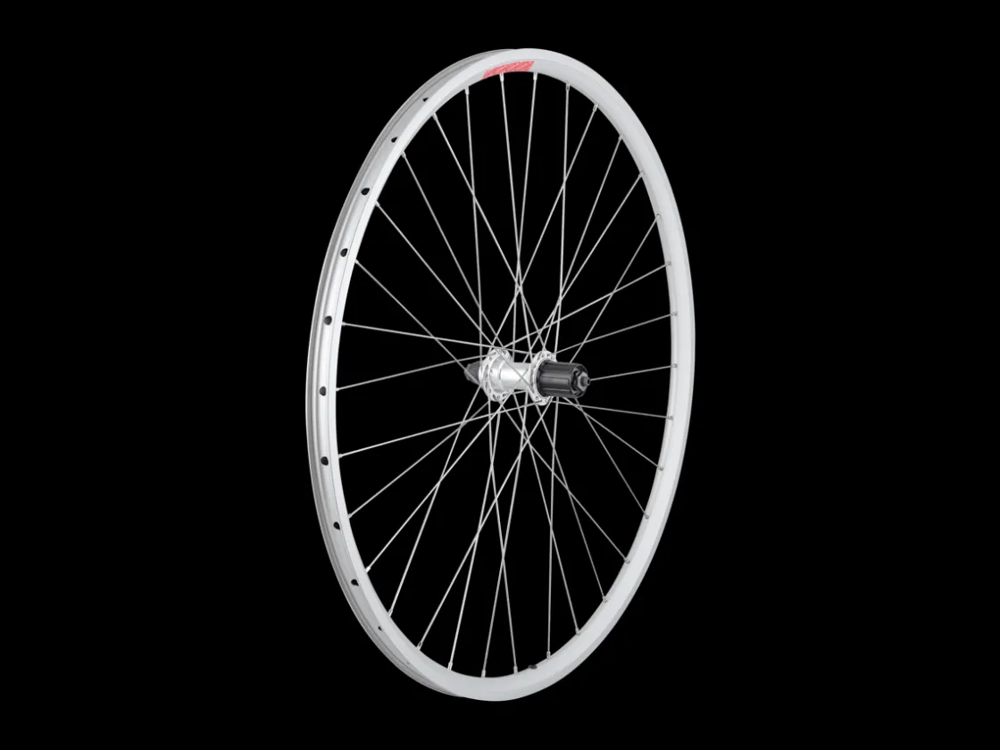 Trek Bikes Sta-Tru 700c Tubeless Ready Alloy QR Wheel - DT Swiss Spokes Silver Best