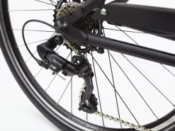 Trek Bikes Townie 7D EQ Step-Over Store