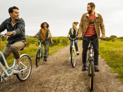 Trek Bikes Townie 7D EQ Step-Over Store