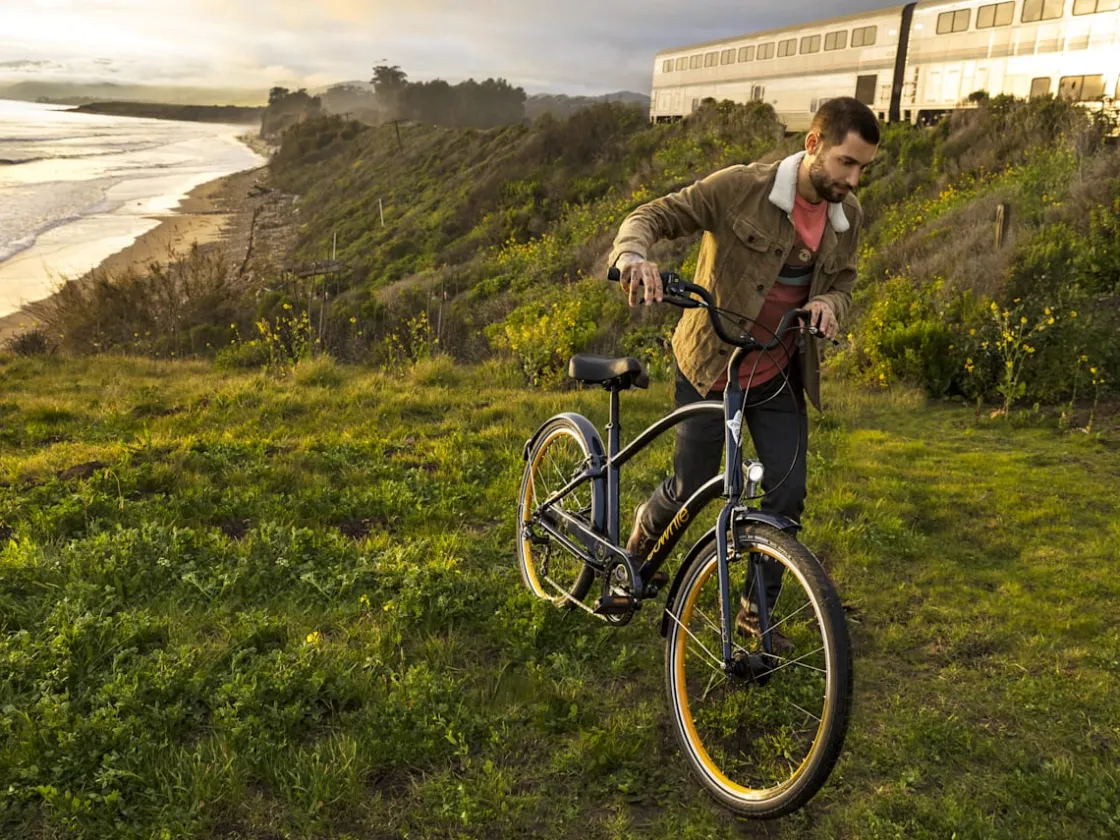 Trek Bikes Townie 7D EQ Step-Over Store