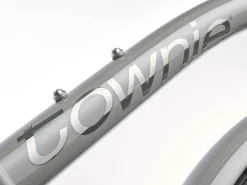 Trek Bikes Townie 7D EQ Step-Over Store