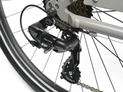 Trek Bikes Townie 7D EQ Step-Over Store
