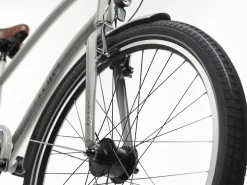 Trek Bikes Townie 7D EQ Step-Over Store