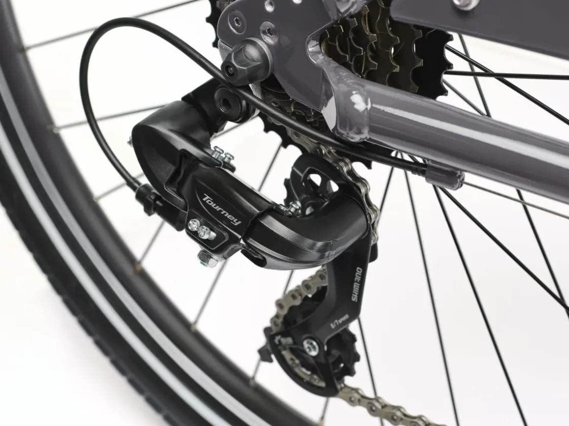 Trek Bikes Townie 7D EQ Step-Thru Cheap
