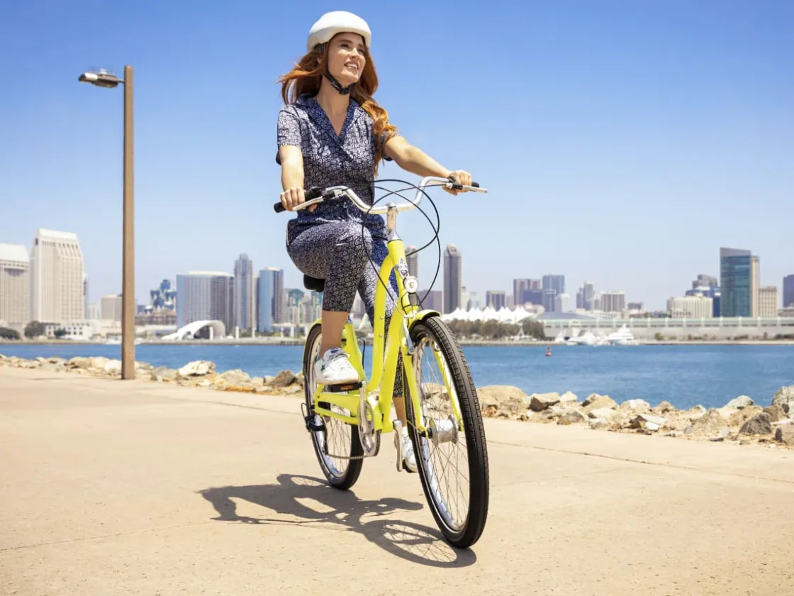 Trek Bikes Townie 7D EQ Step-Thru Cheap