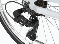 Trek Bikes Townie 7D EQ Step-Thru Cheap