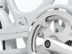 Trek Bikes Townie 7D EQ Step-Thru Cheap