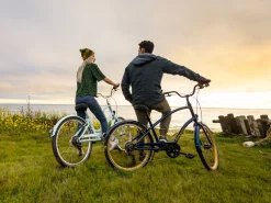 Trek Bikes Townie 7D EQ Step-Thru Cheap