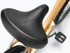 Trek Bikes Townie 7D Step-Thru Online