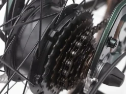 Trek Bikes Townie Go! 7D EQ Step-Over Best