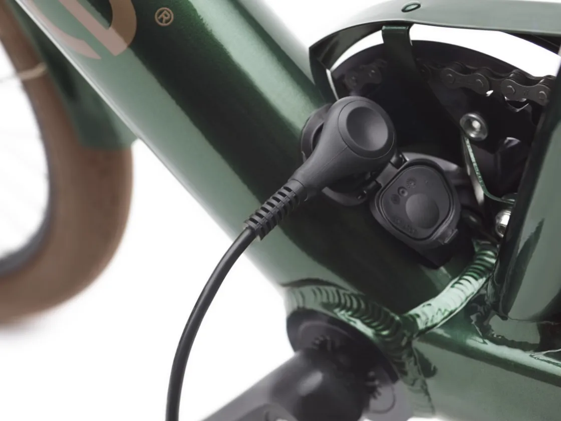 Trek Bikes Townie Go! 7D EQ Step-Over Best