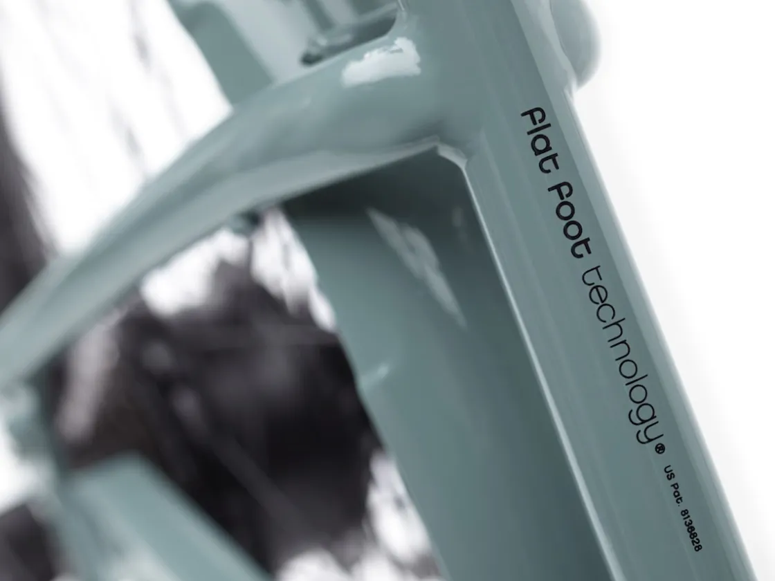Trek Bikes Townie Go! 7D EQ Step-Thru Best