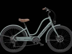 Trek Bikes Townie Go! 7D EQ Step-Thru Best