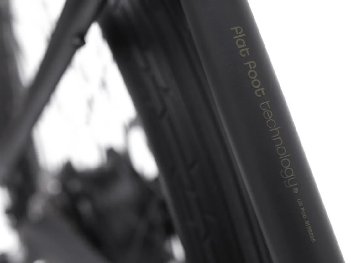 Trek Bikes Townie Go! 7D Step-Over New