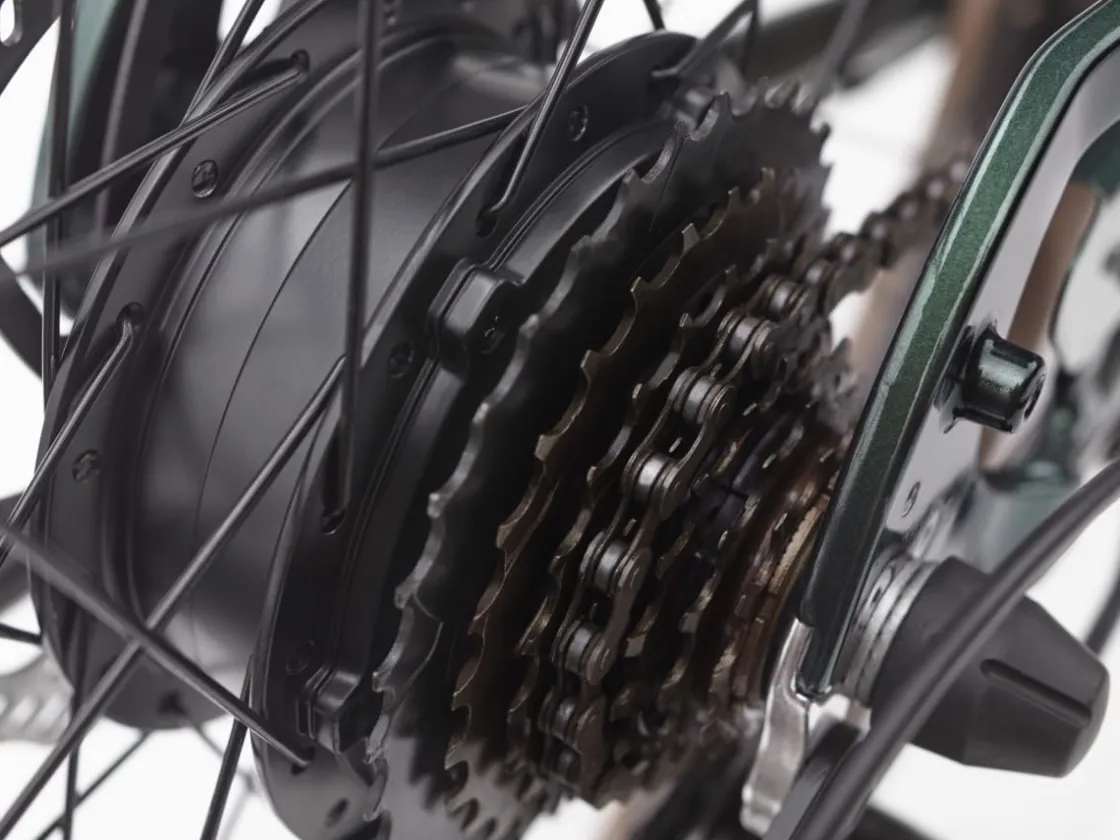 Trek Bikes Townie Go! 7D Step-Over New