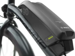 Trek Bikes Townie Go! 5i EQ Step-Over Clearance