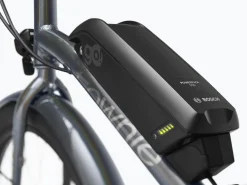 Trek Bikes Townie Go! 5i EQ Step-Over Clearance