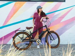 Trek Bikes Townie Go! 5i EQ Step-Over Clearance