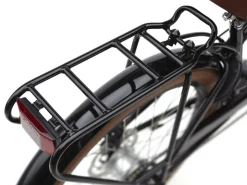 Trek Bikes Townie Go! 5i EQ Step-Over Clearance