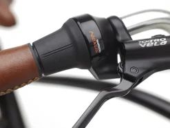 Trek Bikes Townie Go! 5i EQ Step-Over Clearance
