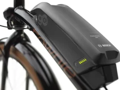 Trek Bikes Townie Go! 5i EQ Step-Over Clearance