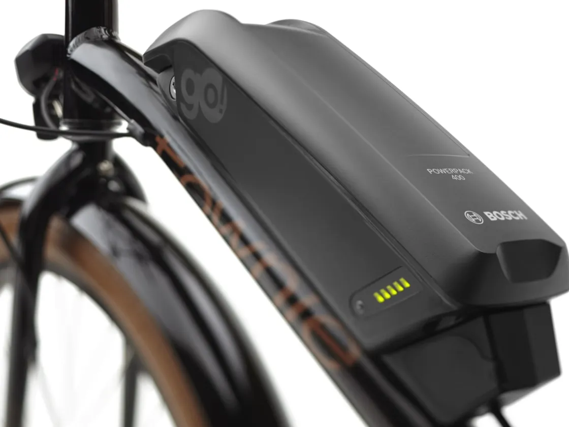Trek Bikes Townie Go! 5i EQ Step-Over Clearance