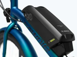 Trek Bikes Townie Go! 5i EQ Step-Over Clearance