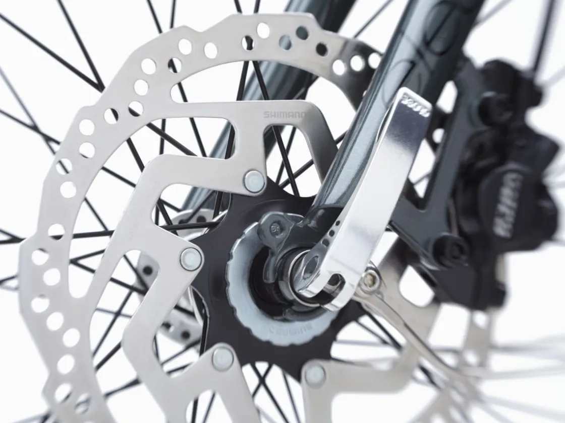 Trek Bikes Townie Go! 5i EQ Step-Over Clearance