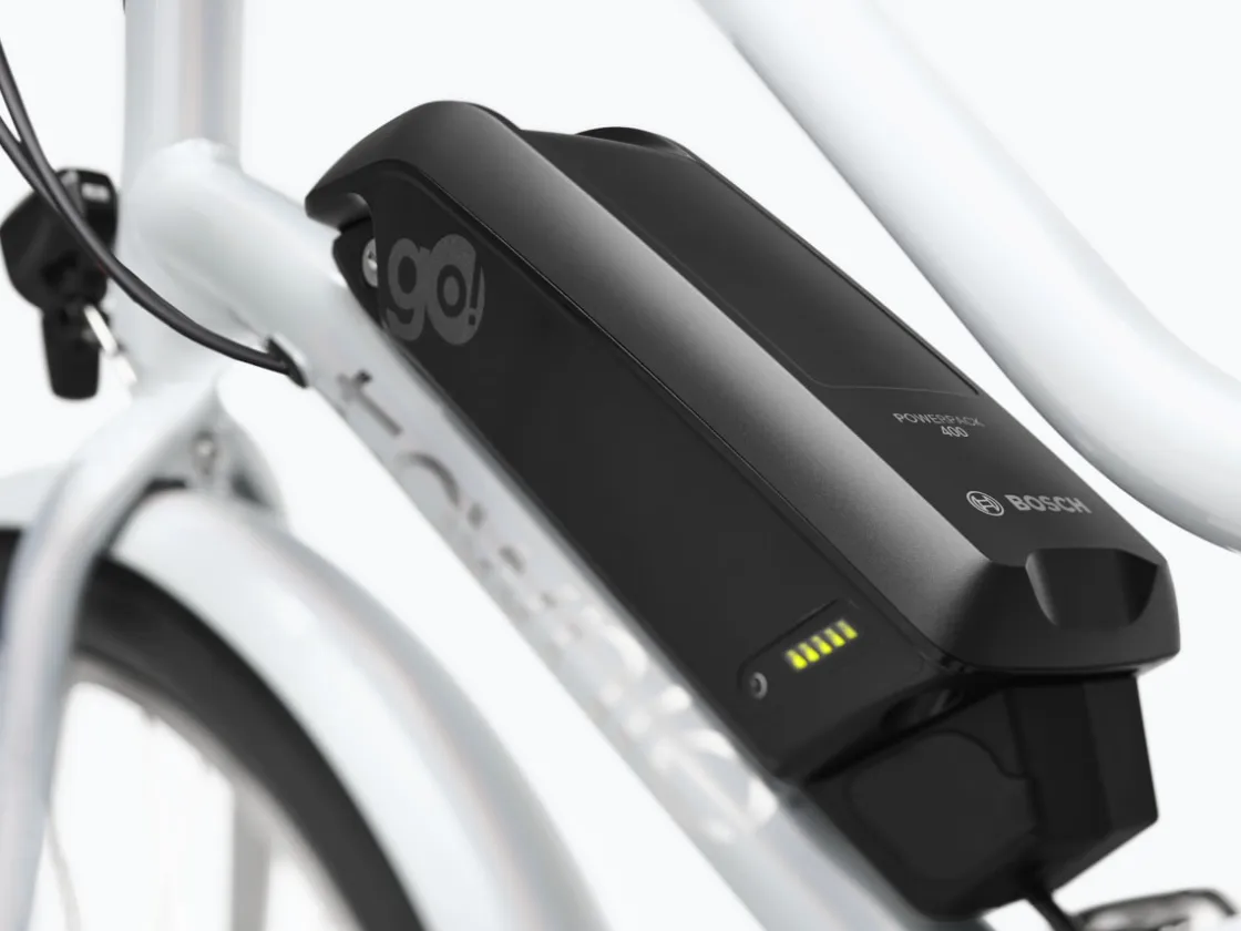 Trek Bikes Townie Go! 5i EQ Step-Thru Cheap