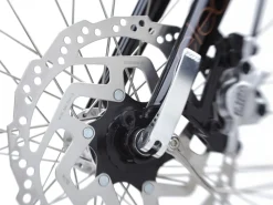 Trek Bikes Townie Go! 5i EQ Step-Thru Cheap