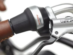 Trek Bikes Townie Go! 5i EQ Step-Thru Cheap