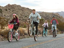 Trek Bikes Townie Go! 5i EQ Step-Thru Cheap