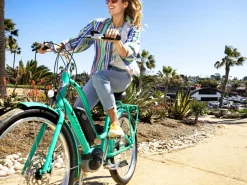 Trek Bikes Townie Go! 5i EQ Step-Thru Cheap