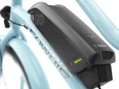 Trek Bikes Townie Go! 5i EQ Step-Thru Cheap