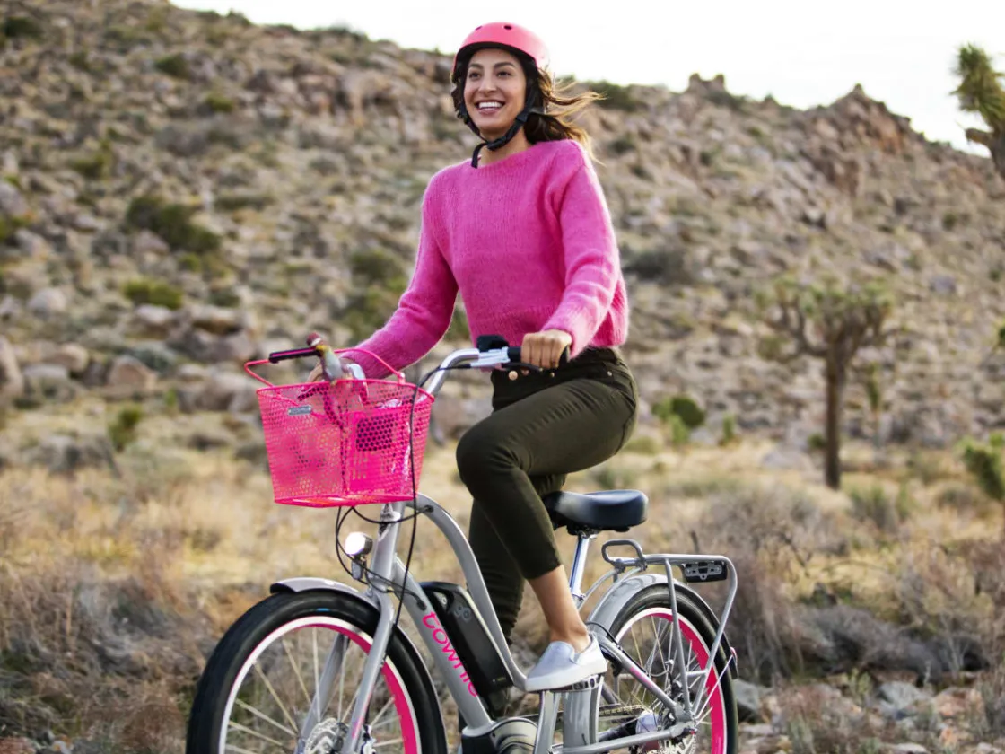 Trek Bikes Townie Go! 5i EQ Step-Thru Cheap