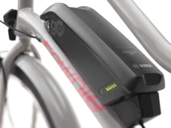 Trek Bikes Townie Go! 5i EQ Step-Thru Cheap