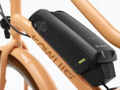 Trek Bikes Townie Go! 5i EQ Step-Thru Cheap