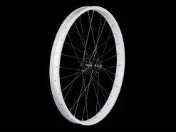 Trek Bikes Trek Kids' 28 Hole 24" 6-Bolt Disc Wheel Online