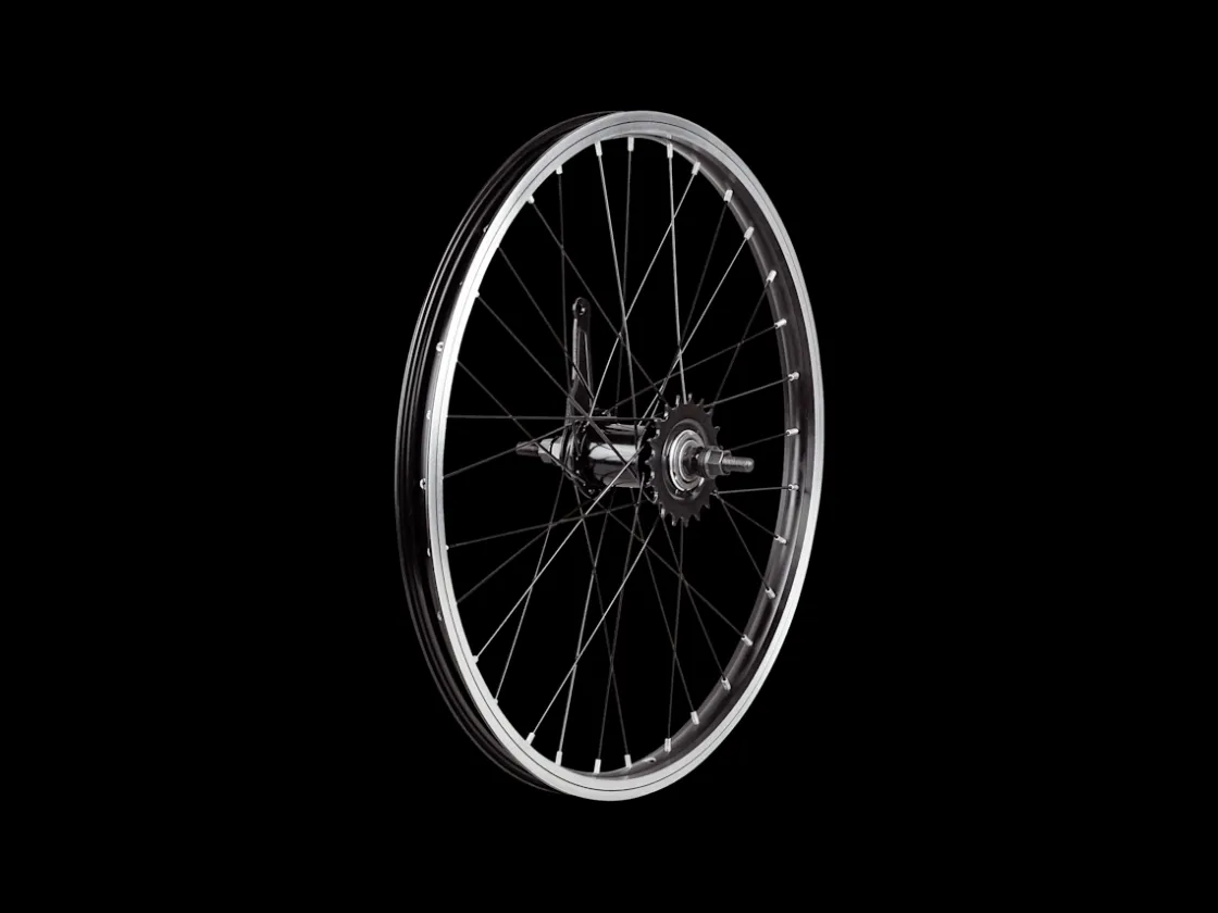 Trek Bikes Trek Precaliber 20 Wheel Black Best