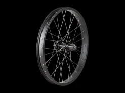 Trek Bikes Trek Roscoe Boost 20" MTB Wheel Flash Sale
