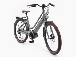 Trek Bikes Vale Go! 9D EQ Shop