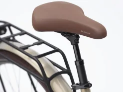 Trek Bikes Vale Go! 9D EQ Shop