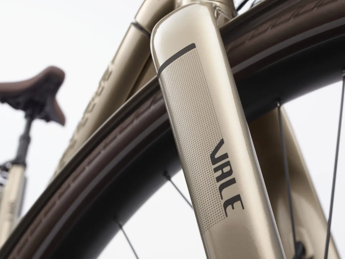 Trek Bikes Vale Go! 9D EQ Shop