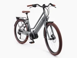 Trek Bikes Vale Go! 9D EQ S Clearance