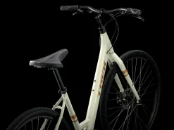 Trek Bikes Verve 1 Disc Lowstep Clearance