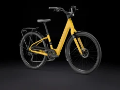 Trek Bikes Verve+ 1 Lowstep LT Fashion
