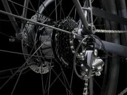 Trek Bikes Verve+ 1 Lowstep LT Fashion
